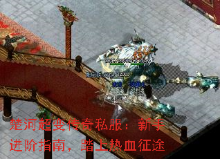 ӳ䴫˽ָֽϣ̤Ѫ;