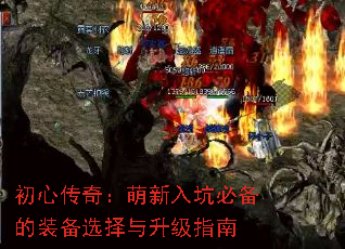 Ĵ棺ӱرװѡָ