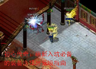 Ĵ棺ӱرװѡָ