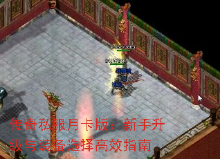 ˽¿棺װѡЧָ