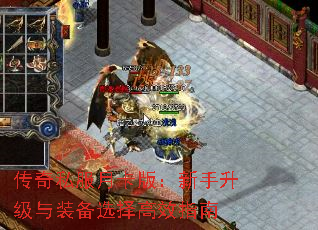 ˽¿棺װѡЧָ