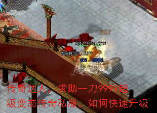 ˣһ9999̬˽ο
