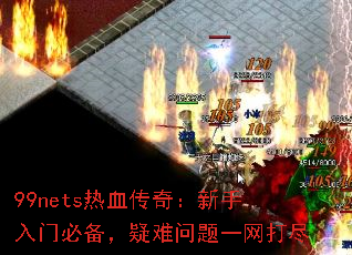 99netsѪ棺űرһ
