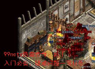 99netsѪ棺űرһ