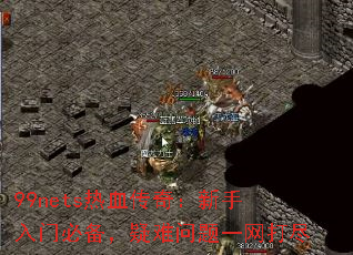 99netsѪ棺űرһ