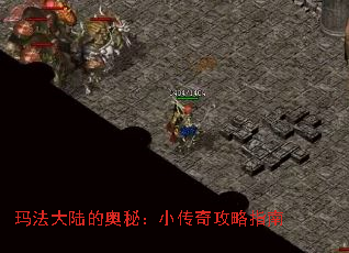 귨½İأС湥ָ