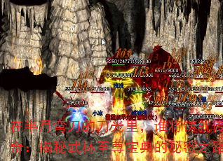 ڰ䵶ĵ˭ʹ棺𱦵֮·
