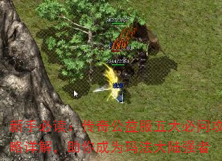 ֱض湫ʹ⣬Ϊ귨½ǿ