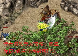 ϷרҹԣѪ8ݺɳư귨