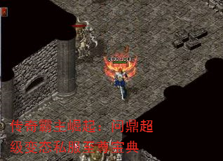 ʶ̬˽𱦵