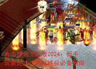 ϻ̬2024ҽ׹ԣռرָ