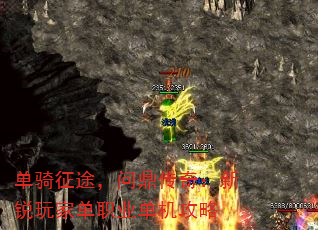 ;ʶ棺ҵְҵ