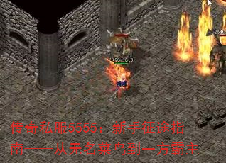 ˽5555;ָϡһ