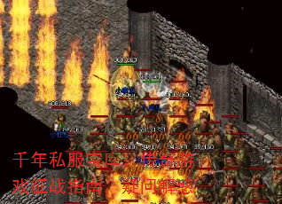ǧ˽⣺Ϸսָϣʽ