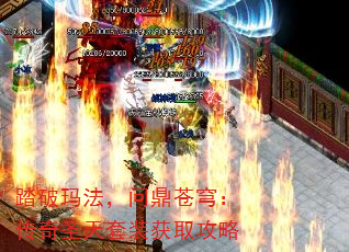 ̤귨ʶ񷣺ʥװȡ