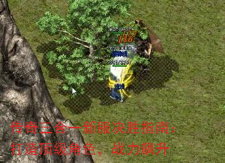һ·ʤָϣ춥ɫս