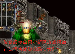 泬䵥ְҵʵοٳư귨½