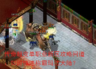 泬䵥ְҵʵοٳư귨½