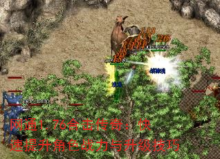 ͨ1.76ϻ棺ɫս