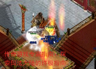 Ϸרָϣ̽귨½ռָ