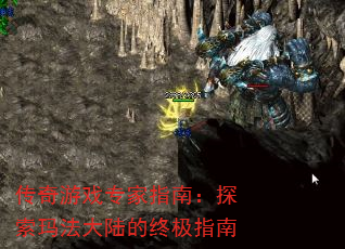 Ϸרָϣ̽귨½ռָ