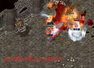 ڴ汻ɱҪôҵ