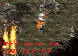 ʬˢһι_ʬ߷ͼ