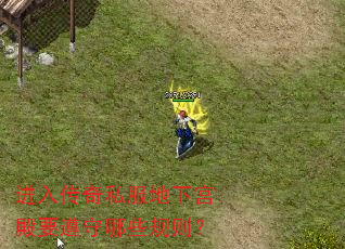 봫˽¹ҪЩ