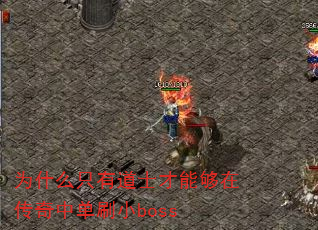 ΪʲôֻеʿܹڴеˢСboss