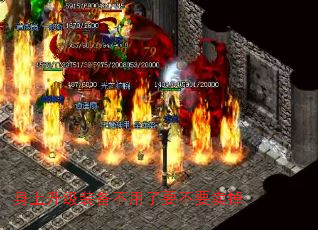 װҪҪ