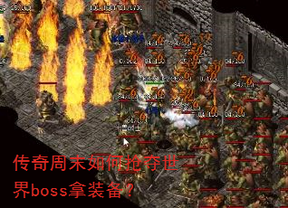 ĩbossװ