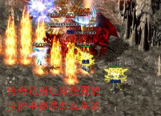 ˽Ҫļ鶼ô