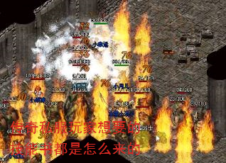 ˽Ҫļ鶼ô