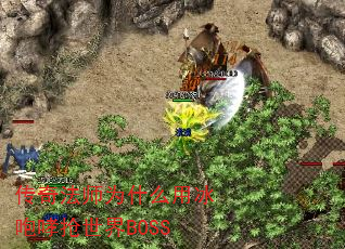 淨ʦΪʲôñBOSS