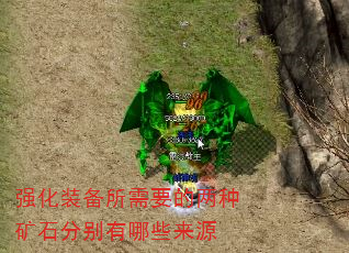 ǿװҪֿʯֱЩԴ