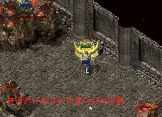 ͨʿӦѧٻ