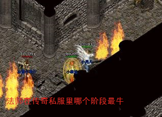 ʦڴ˽ĸ׶ţ