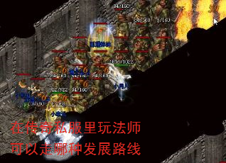 ڴ˽淨ʦַչ·