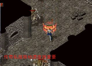 ˽ƶٶȺҪ