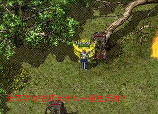 ȺʦΪʲôһںţ