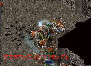 ̬ҿѧѧĴ