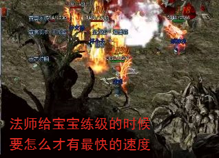 ʦʱҪôٶ
