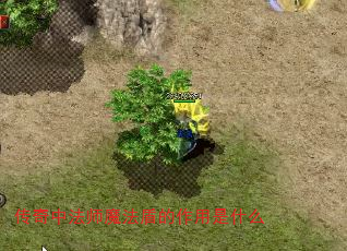 зʦħܵʲô