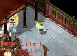 ڴ˽ֵĳɳ벻Щ