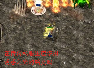 ڴ˽Ӧջ֮