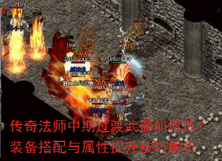淨ʦڹѡװɽ