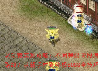 ײ⹥ԣͬȼ׶ѡѴ·ߣִ嵽ռBOSSȫ֪