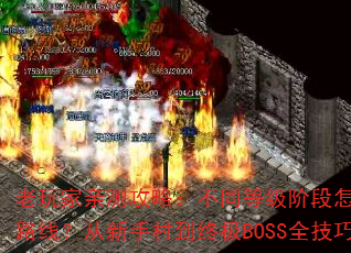 ײ⹥ԣͬȼ׶ѡѴ·ߣִ嵽ռBOSSȫ֪