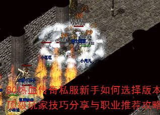 80Ѫ˽ѡ汾ҼɷְҵƼԣ
