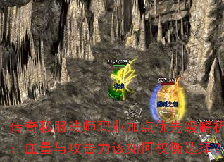 ˽ʦְҵӵȼѪ빥Ȩѡ